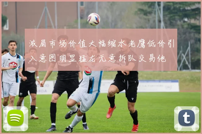 浓眉市场价值大幅缩水老鹰低价引入意图明显猛龙无意拆队交易他